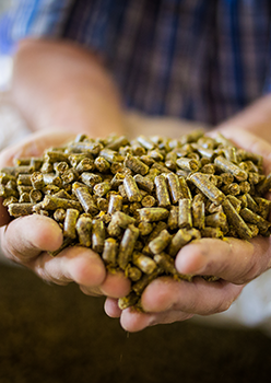 星空体育在线官方vip:东方财经的个人主页