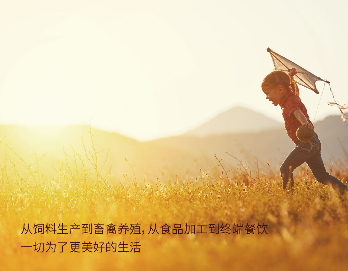 星空体育在线官方vip