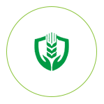 星空体育中国网站